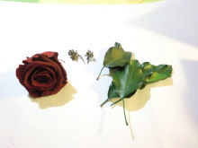 薔薇の花弁